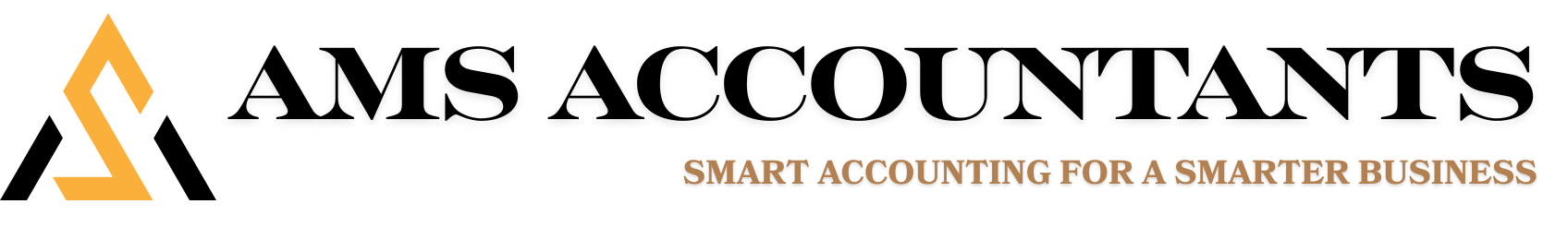 AMS ACCOUNTANTS
